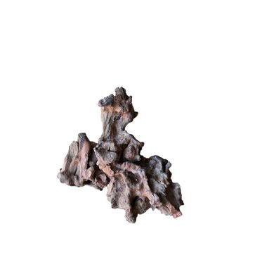 Coral Sinker Wood Nr.558
