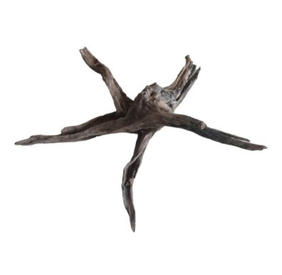 Coral Sinker Wood Nr.603