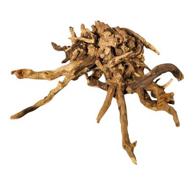Coral Sinker Wood Nr.610