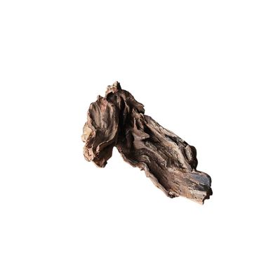 Coral Sinker Wood Nr.624