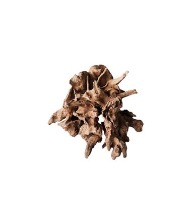 Coral Sinker Wood Nr.628
