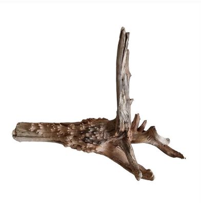 WIO Tree Trunk Wood Wurzel 365