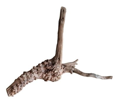 WIO Tree Trunk Wood Wurzel 355