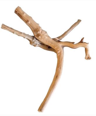 WIO Tree Trunk Wood Wurzel 349