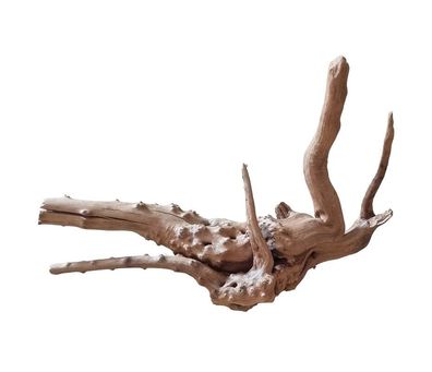 WIO Tree Trunk Wood Wurzel 347