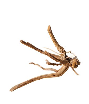 WIO Tree Trunk Wood Wurzel 301