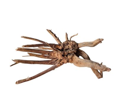 WIO Tree Trunk Wood Wurzel 295