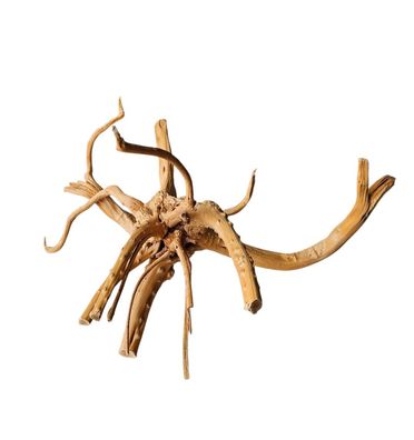 WIO Tree Trunk Wood Wurzel 292