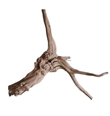 WIO Tree Trunk Wood Wurzel 290