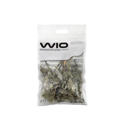 WIO LICHEN Branches - 100gr., 5-30cm