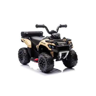 Quad-Batterie GTS1155 Khaki