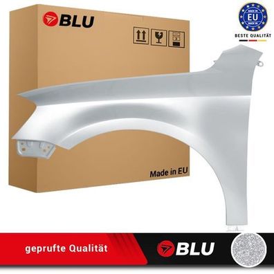 Kotflügel VW PASSAT B7 LA7W LINKS SILBER 2010-2014 Vorderseite Lackiert NEU Verzinkt