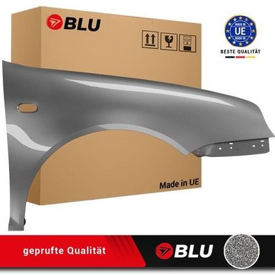 Kotflügel VW GOLF IV 4 LD7V RECHTS SILBER 1997-2006 Vorderseite Lackiert NEU Verzinkt