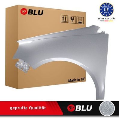 Kotflügel VW POLO 9N3 IV 4 LIFT LA7W LINKS SILBER 2005-2009 Vorderseite Lackiert NEU