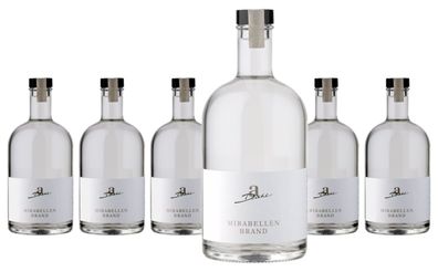 6 x Diehl Mirabellenbrand