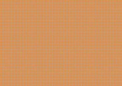 Brunnen Karteikarte A5 kariert orange 100 Stück 102250240