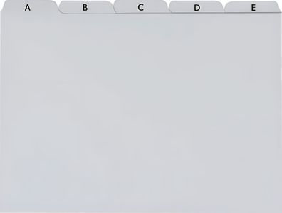 Brunnen Karteiregister A5 grau Plastik 102377580