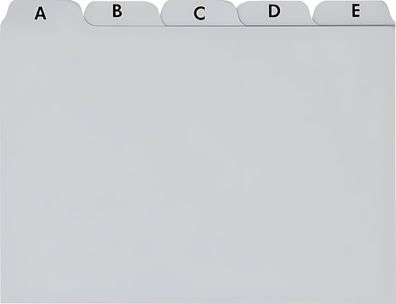 Brunnen Karteiregister A6 grau Plastik 102377680