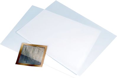 Transferfolie 245 x 32 mm transparent mit weisser Schutzfolie