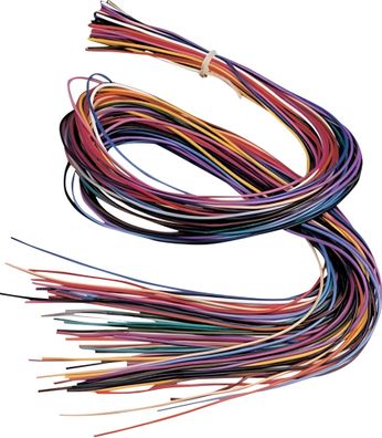 KNORR Prandell Lederriemen 1 m Ø 2 mm Rindsleder sortiert iert