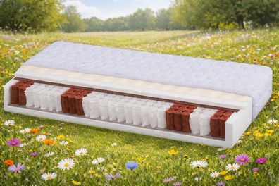 Taschenfederkern Matratze Liegefläche 100x200 #4525