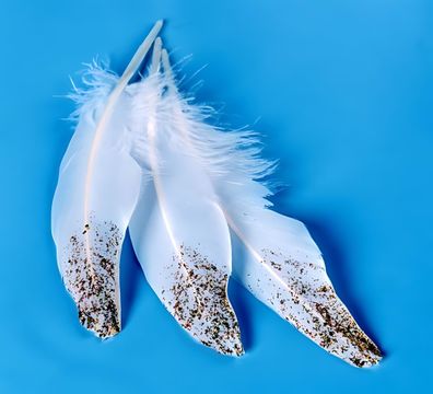 KNORR Prandell 218099075 Glitterfarbe Glitter Glue gold-regenbogen