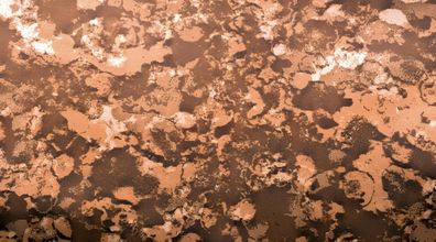 KNORR Prandell 218301412 Wachsplatten 175 x 80 x 05 mm matt goldfarben