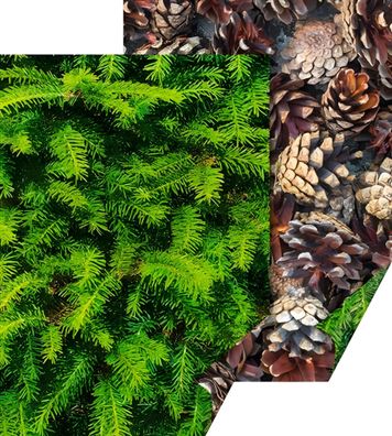 HEYDA 204772256 Motivkarton Naturstrukturen Tannen/Zapfen 50 x 70 cm