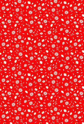 HEYDA Motivkarton Daisy A4 (21 x 31 cm inkl. Codierleiste) rot