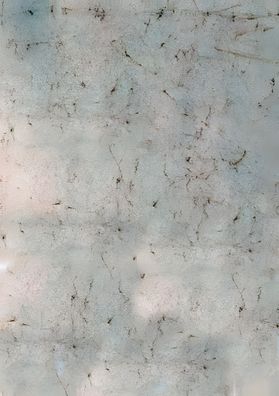 HEYDA 204831500 Elefantenhaut 50 x 70 cm weiss