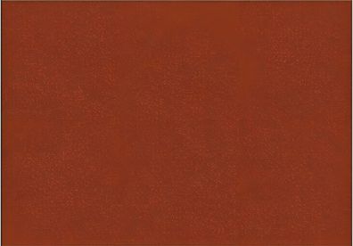 Tsukineko 211511825 Stempelkissen VersaColor 10 x 6 cm orange