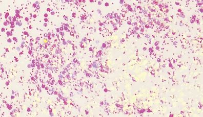 KNORR Prandell 218099100 Glitterfarbe Flaky Glue weiss