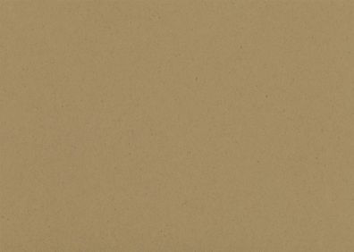 HEYDA 204720097 Tonkarton 50 x 70 cm braun natur