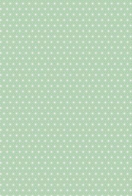 HEYDA 204771763 Motivkarton Starlight 50 x 70 cm mint