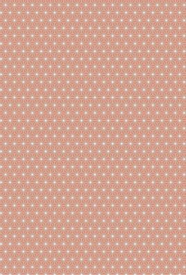 HEYDA 204771766 Motivkarton Starlight 50 x 70 cm koralle