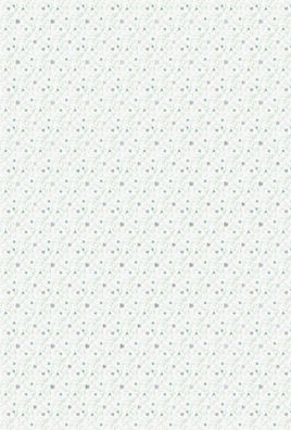 Motivkarton Just Married Ornament A4 weiss/mint