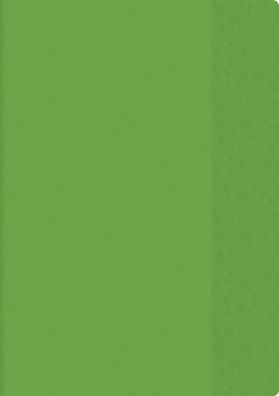 Brunnen Hefthülle A4 transparent grün Folie