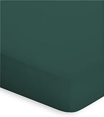 Bassetti TOPPER UNI 703 VERDE 140x200
160x220 * 9314090