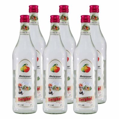 Berghof Obstwasser (6 x 1,0L)