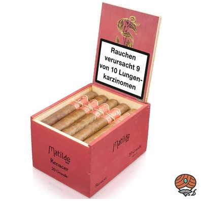 Matilde Renacer Grande Zigarren 20er Kiste Dominikanische Republik