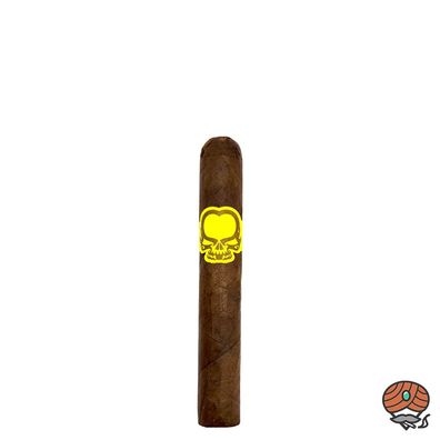 Asylum 13 Split Personality Robusto Zigarren Honduras