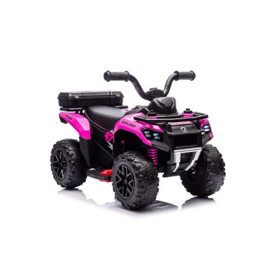 Batterie Quad GTS1155 Pink