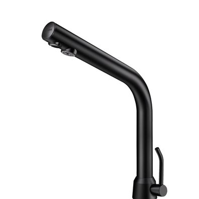 Delabie WT-MBatt. Binoptic MIX G3/8B matt schw. H250 Netzbetrieb230/12V