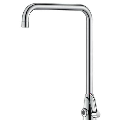 Delabie Stand MBatt. Tempomatic MIX PRO G3/8B 230/12V Schwenkauslauf