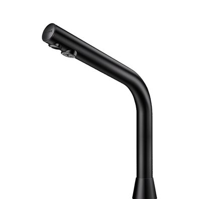 Delabie Waschtisch-Ventil Binoptic G3/8B matt schwarz H.250 230/12 V