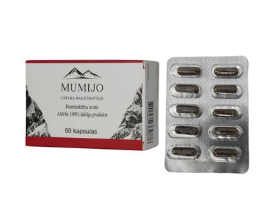 Mumijo Shilajit Kirgistan Fulvinsäure Huminsäure Mineralien gereinigt 60 Kapseln