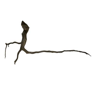 Rasamala Black Scaper Root Nr.826