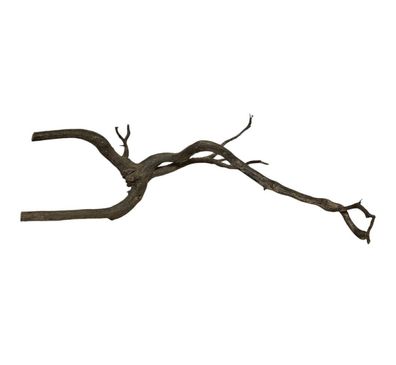 Rasamala Black Scaper Root Nr.828