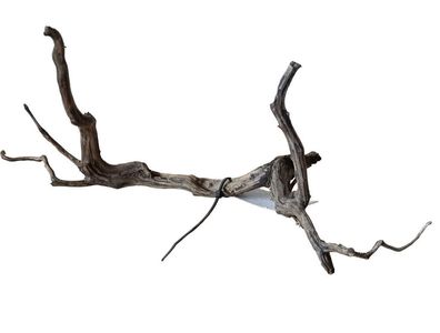 Rasamala Black Scaper Root Nr. 285