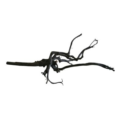 Rasamala Black Scaper Root Nr. 278